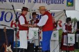 XVIII FESTYN GMINNY   - zdjęcie 23