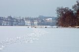 Gmina zimą - zdjęcie 13