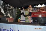 XIX Festyn Gminny STAWIGUDIADA 2012 07 14 - zdjęcie 38