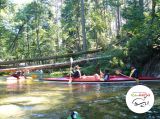 Spływ kajakowy - zdjęcie 14