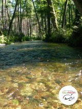 Spływ kajakowy - zdjęcie 21