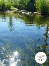 Spływ kajakowy - zdjęcie 27