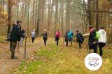Nordic Walking X - Stawiguda - zdjęcie 12