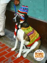 Spotkania podróżnicze - 12 grudnia 2013 - zdjęcie 18