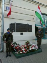 VIII Dzień Przyjaźni Polsko-Węgierskiej - zdjęcie 10