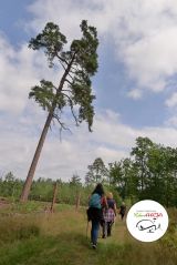 VIII marsz Nordic Walking - 08 sierpnia 2014 - Ruś - zdjęcie 7