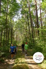 IX marsz nordic walking - 6 września 2014 r. - Dorotowo - zdjęcie 9